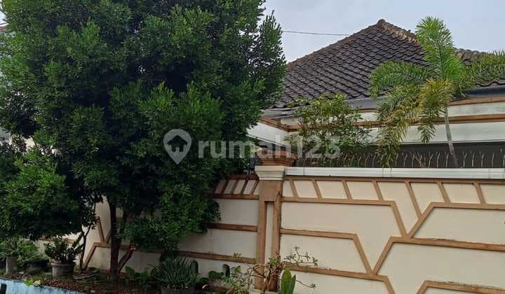 Rumah Besar - Hitung Tanah 498 Meter, Lokasi Premium Imam Bonjol Denpasar