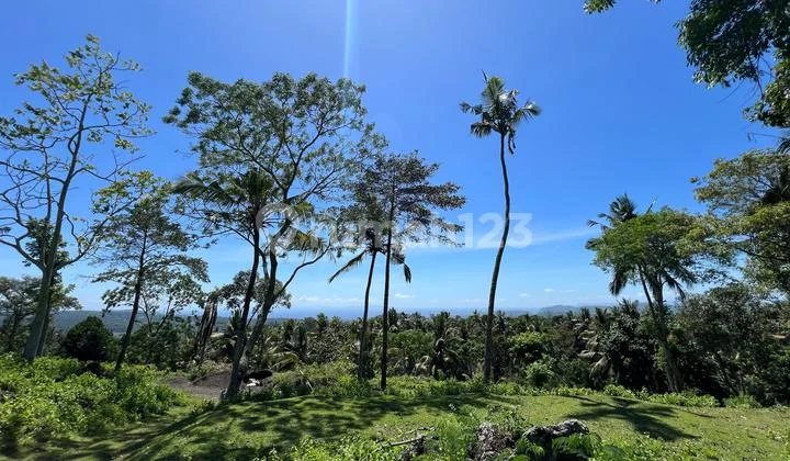 "Prime Land 159 Are For Villa & Resort Development - Karangasem Bali"