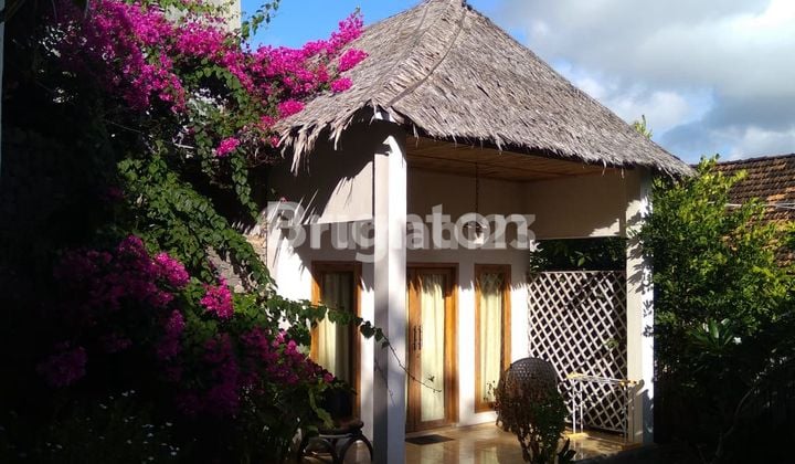 Guest House Di Tanjung Bira Bulukumba Sulawesi Selatan