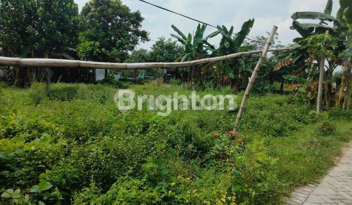 Tanah Di Ngoro Jombang