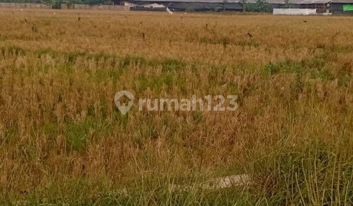 Tanah Murah Di Kertanegara Haurgeulis