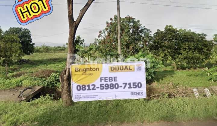 Tanah Zona Industri di Krangkeng Indramayu