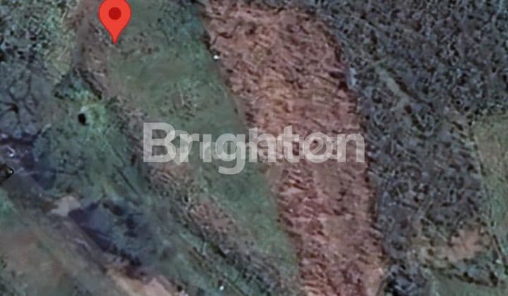 Tanah Murah Di Lamongan