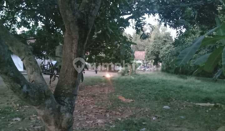 Cheap Garden Land in Gantar Indramayu