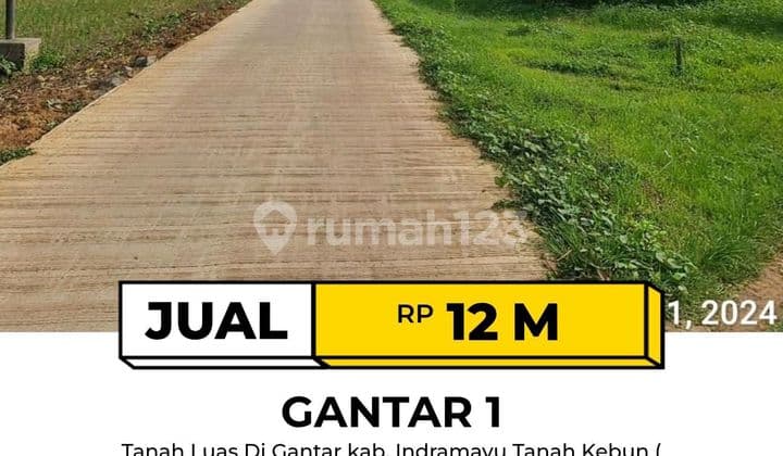 Tanah di Gantar Indramayu