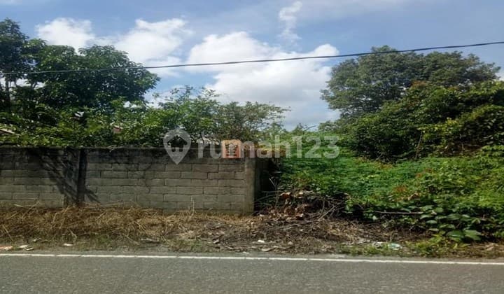 Land Area 1.25 Ha in Tanjung Pandan, Only 5 Minutes to the City & Close to Tanjung Pendam Beach, Near Belitung Plaza, Ramayana Belitung, Tanjung Pandan Traditional Market, Dr. H. Marsidi Judono Regional General Hospital, Tanjung Pandan 1 Public Elementary School