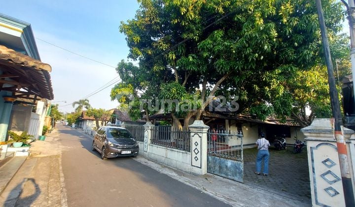 Kontrakan Rumah Siap Huni Relevan Untuk Kantor Dan Mess Kayawan