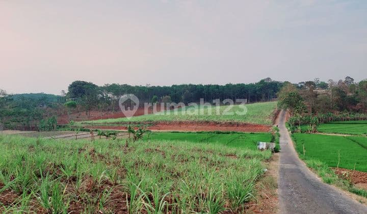 Dry Land / Plantation Near Sendang Songo Tourist Area