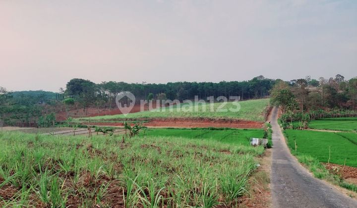 Tanah Tegalan / Perkebunan Dekat Wusata Sendang Songo