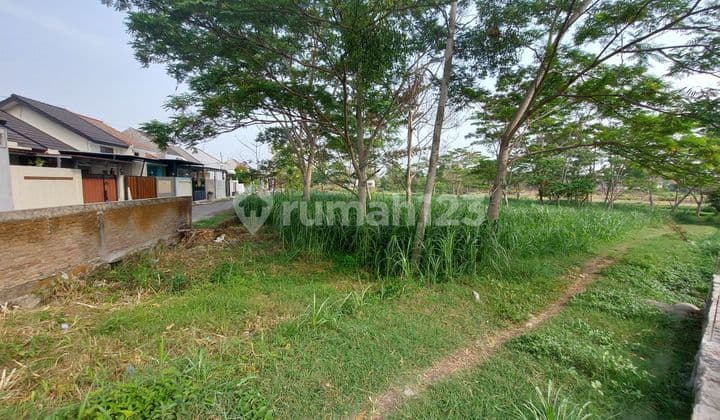 Lahan Ideal Untuk Perumahan Dekat Kuliner Dan Universitas Solo