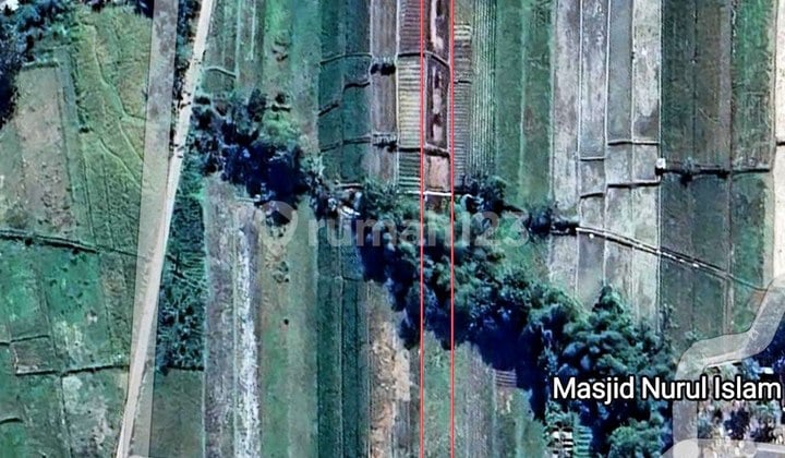 Lahan.sawah Produktif Tepi Jalan Kampung