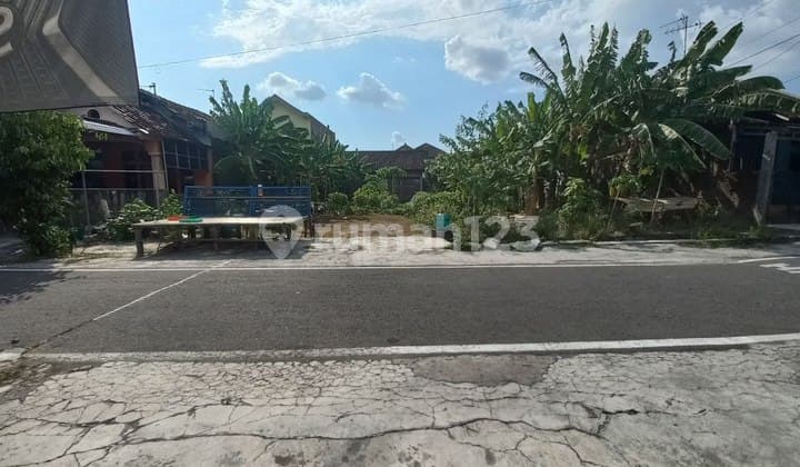 Large Land Ideal for Building Exclusive Boarding House Near Manahan