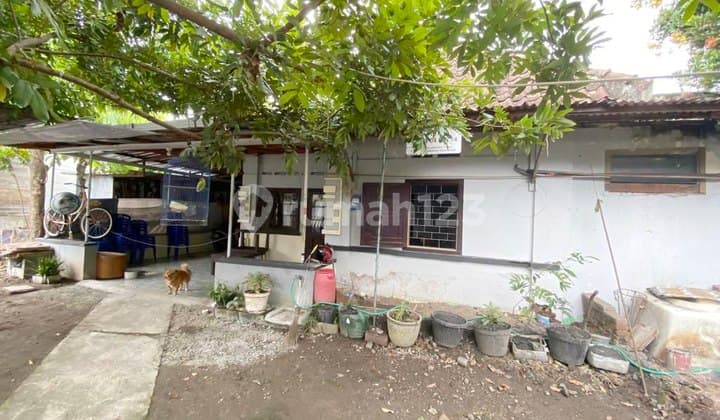 Rumah Jadul Kota Solo Halaman Luas Hitung Tanah