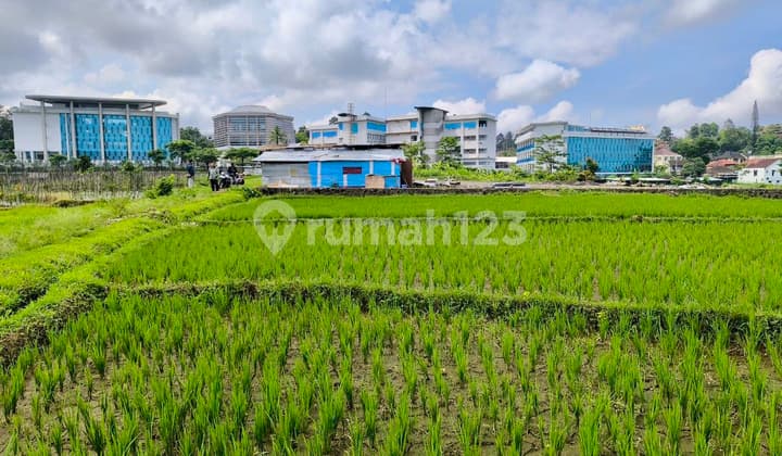 Tanah Sawah Sejajar Dgn International Boarding School Al Azhar