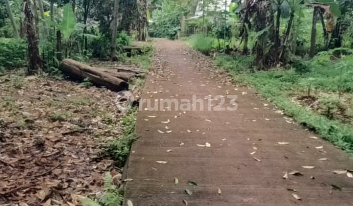 Dijual Tanah Dekat Meteseh Boja, Ada Pohon Durian dan Sdh Ada Air PDAM