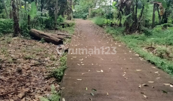 Dijual Tanah Dekat Meteseh Boja, Ada Pohon Durian dan Sdh Ada Air PDAM