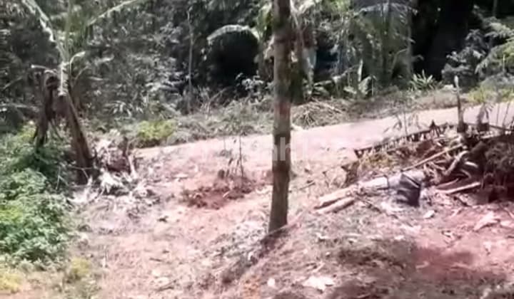 Dijual Tanah 10 Meter Dari Jalan Raya Ada Pohon Durian Dll