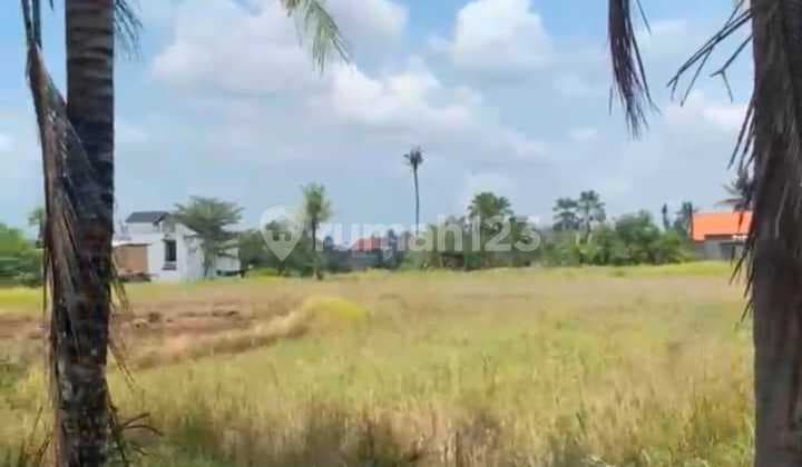 Tanah Luas Strategis di Lodtunduh Ubud Bali