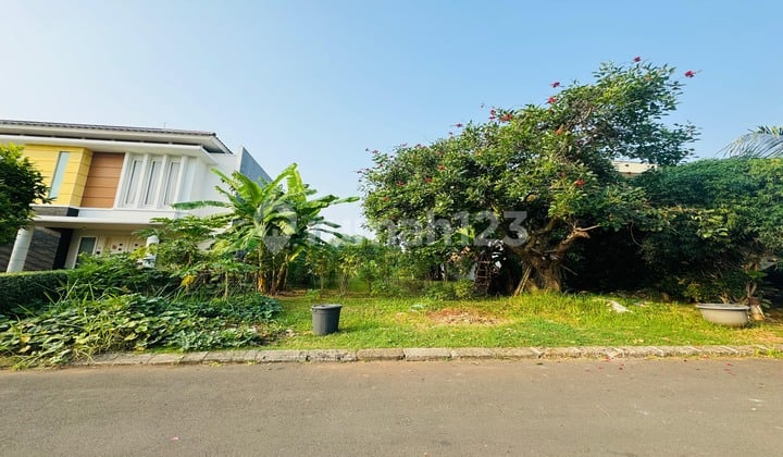 Cheapest Plot at Sutera Buana Alam Sutera