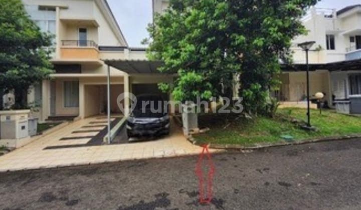 Termurah Chrysocolla - Phg!!!!