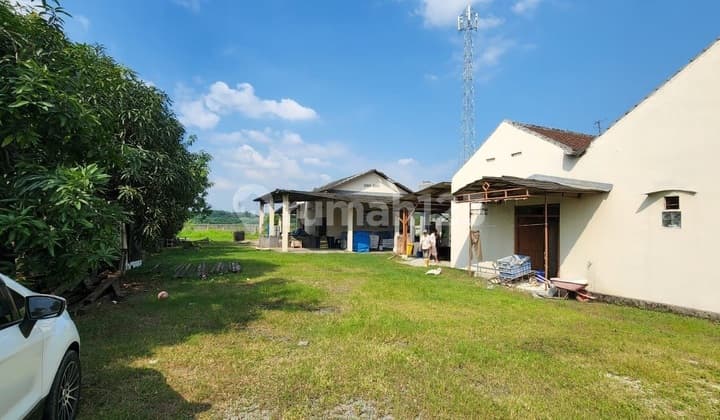 Spacious Land in West Karawang Ready to Negotiate