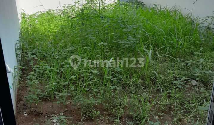 Disewa Ruko Citra 8 Sunsrt Avenue Hadap Danau