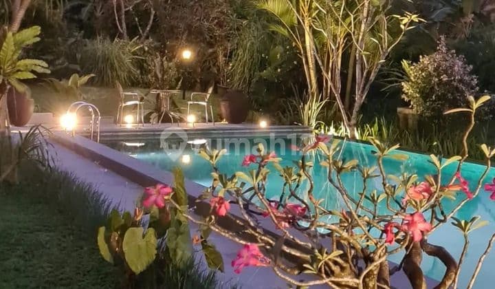 Villa Ready Buat Tahun Baruan Paket 2 Mlm