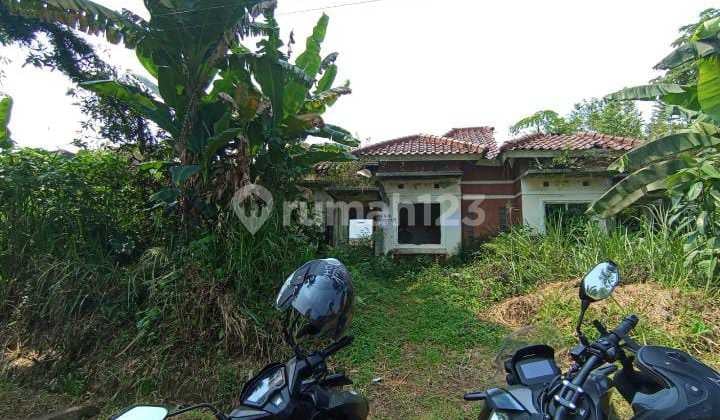Tanah Luas Rumah Rusak Siap Bangun di Bilabong Permai