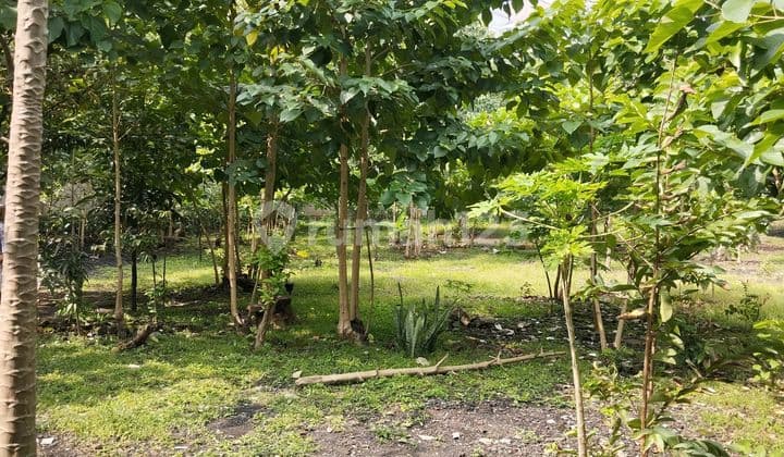 Jual Cepat!! Harga di Bawah NJOP!! Tanah Mainroad Moch Toha Bandung