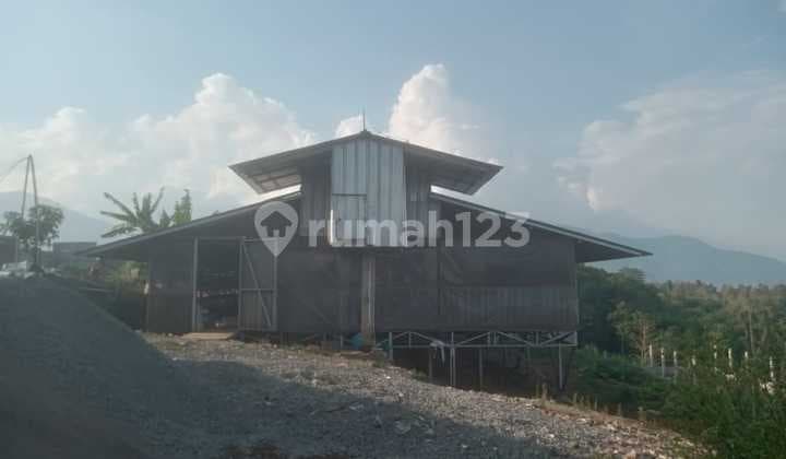 Quick Sale!! Active Chicken Coop Area Sumedang