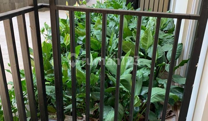 Turun Harga (murah )490jt Turun Ke 375jt