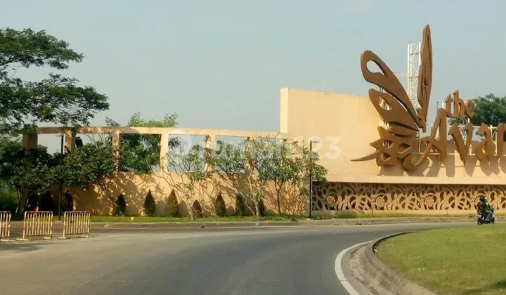 Plot in Avani BSD