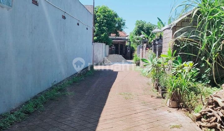 Disewakan Tanahlokasi Strategis Mecutan Poltek Dan Dekat Udayana