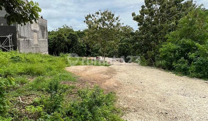 Cheap Land Near Unud Campus and Poltek