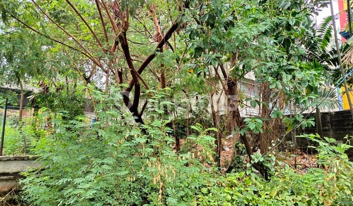 Di Jual Tanah Cikini