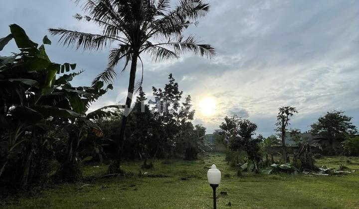 kavling Pamulang lokasi super strategis cocok untuk sekolah kos kosan atau kontrakan