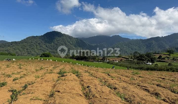Tanah Pertanian Kota Batu View 360 Salah Satu Lahan Pertanian dengan View Sempurna