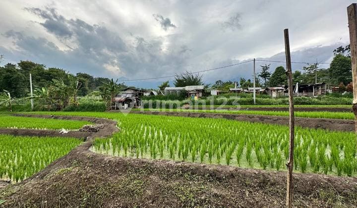 Dijual Tanah Premium - Poros Jalan Wisata Kota Batu ⛰️