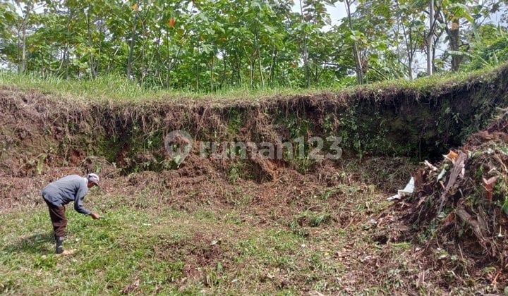 Dijual Lahan Strategis - Tajinan Malang