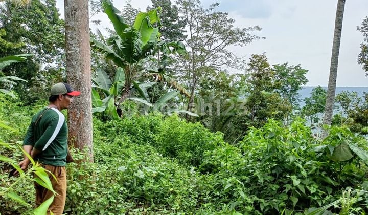 Dijual Cepat - Kebun Durian View Alam Kota Malang