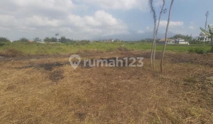 Tanah Siap Bangun di Tasikmadu Lowokwaru Kotamadya Malang!