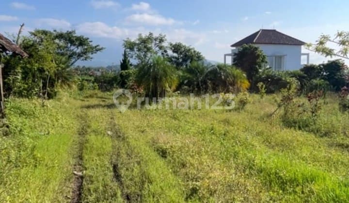 Villa Land with Garden for Quick Sale Next to Batu Malang Police Station.