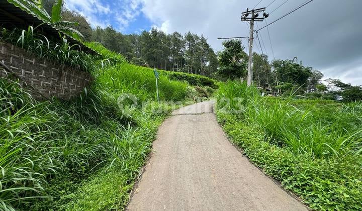 Special Turun Harga, Tanah Poros Jalan Dengan Sumber Mata Air Melimpah di Kota Batu