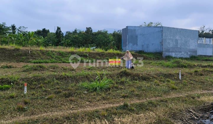 Investasi Tanah Murah di Dataran Tinggi Dayurejo Prigen Pasuruan