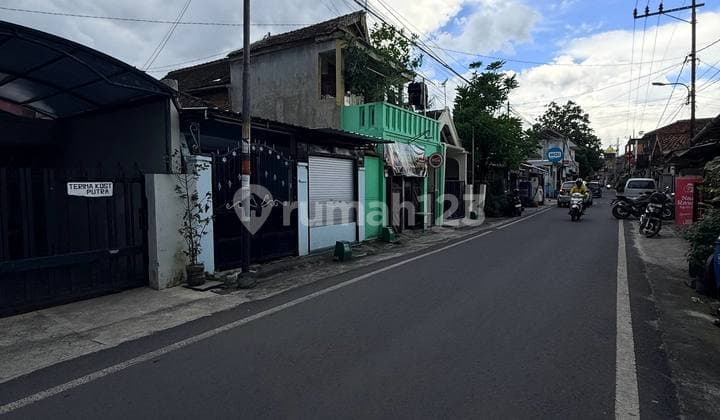 Aset Emas Kumis Kucing - 600M Dari Suhat Malang!