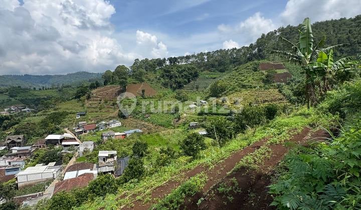 Tanah Kota Batu Harga Super Murah Lokasi Strategis