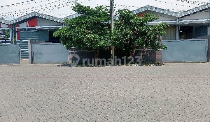 Gudang Siap Pakai Di Clp Butuh Cepat Laku Gudang Siap Pakai Di Clp Butuh Cepat Laku