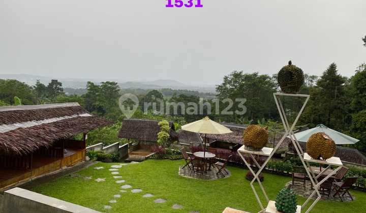 Jual Cepat Lahan Dan Bangunan Berikut Usaha Kuliner Durian Dan Olahannya Di Leuwiliang Bogor