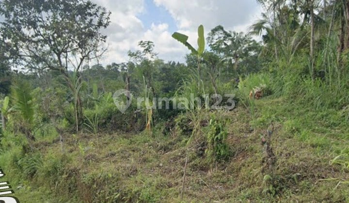 70 Are of Strategic Land for Sale, in Tegallalang Gianyar Area