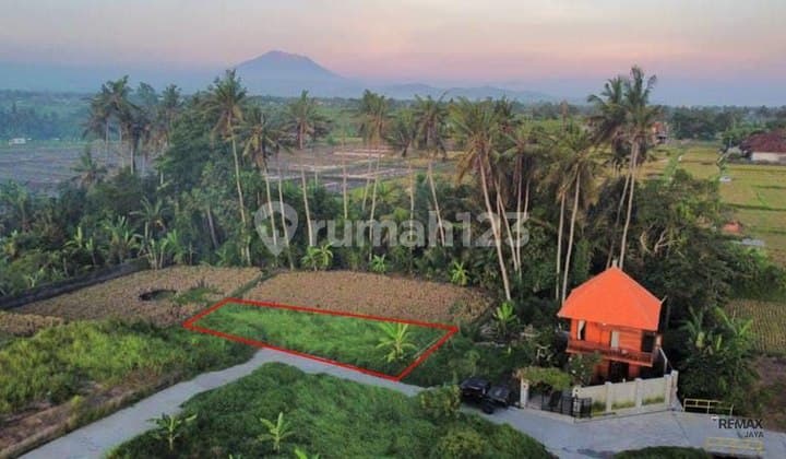 Tanah Bagus 2,5 Are View Sawah Dijual, di Guwang, Gianyar Area